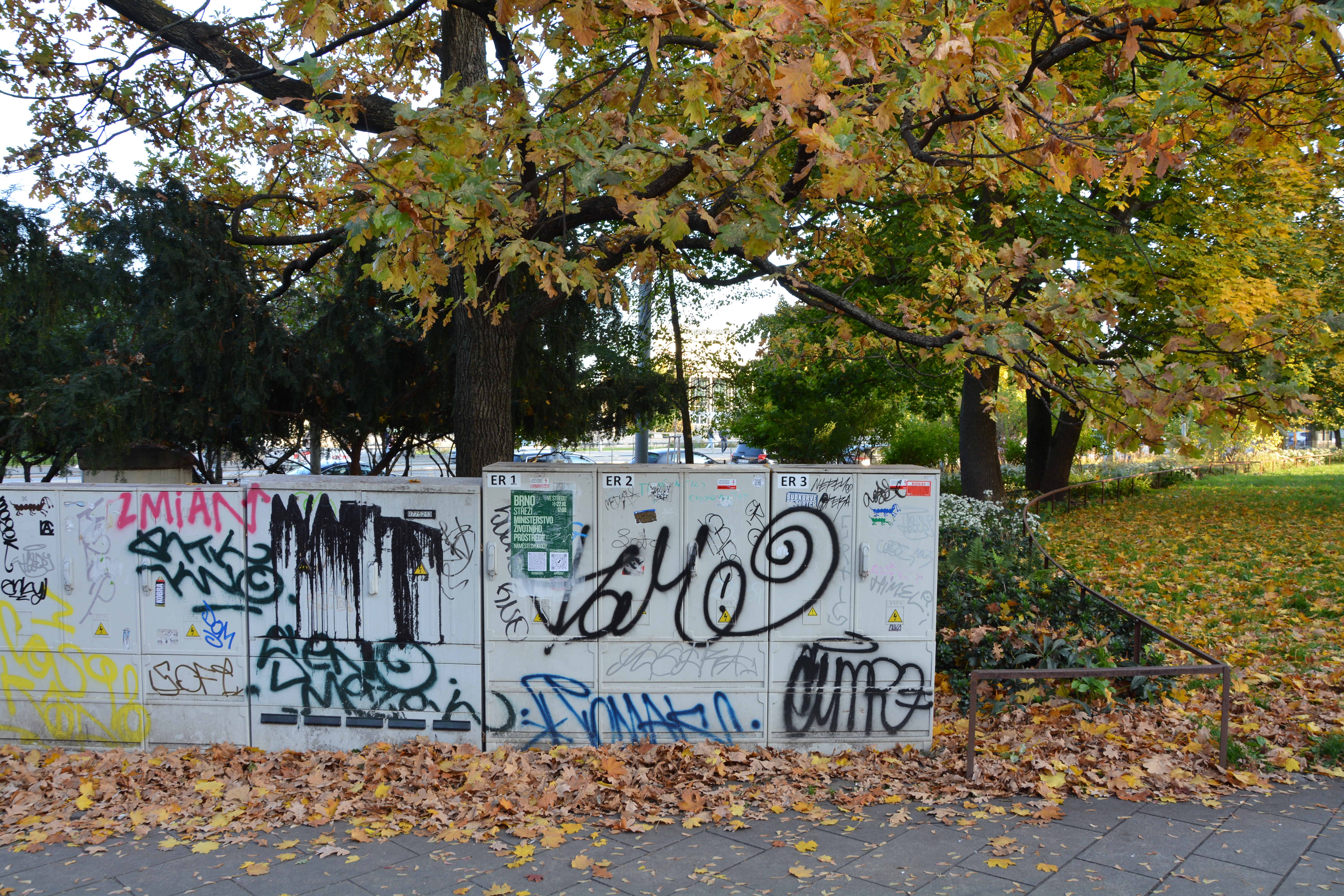 Dsc 4081
