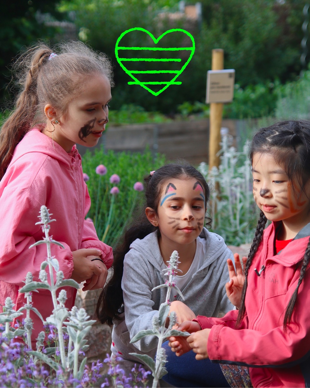 552621806 1195994409228361 746005318541862743 n