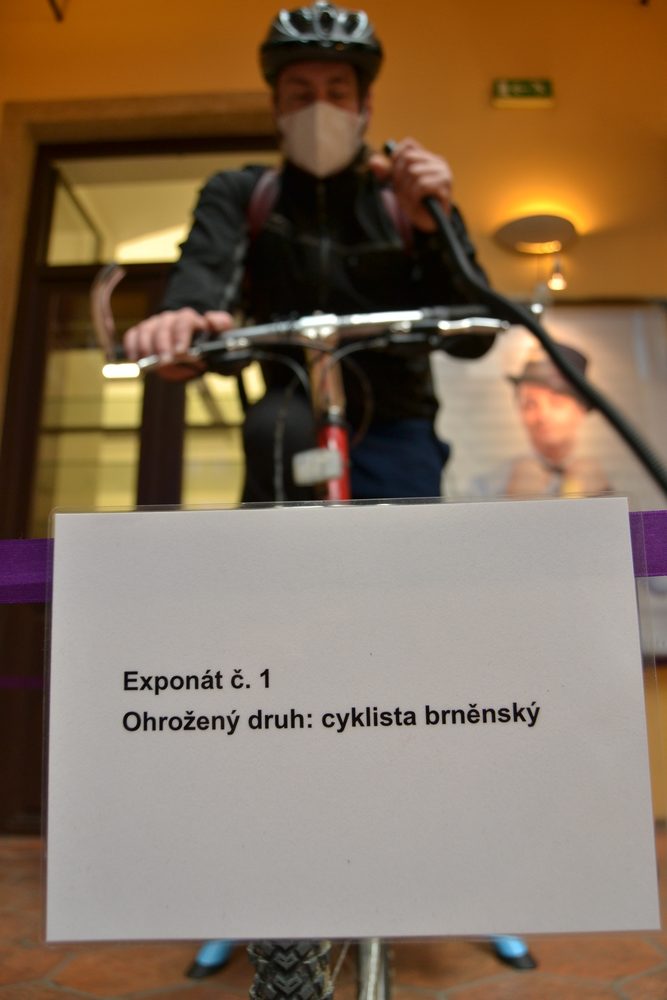 V Brně byl dnes k vidění  zvláště ohrožený druh Cyklista brněnský
