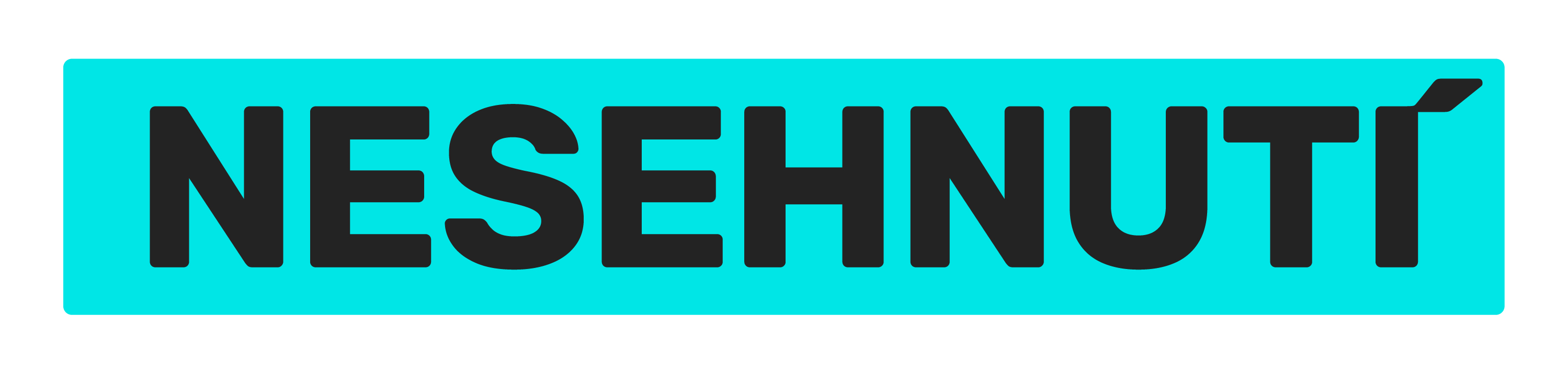 Nese logo cyan