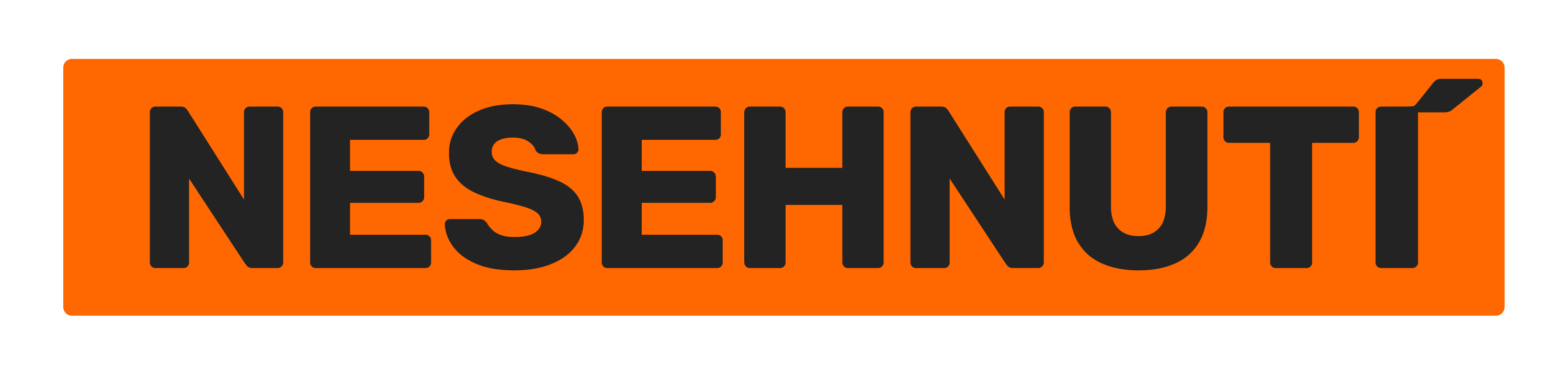 Nese logo orange