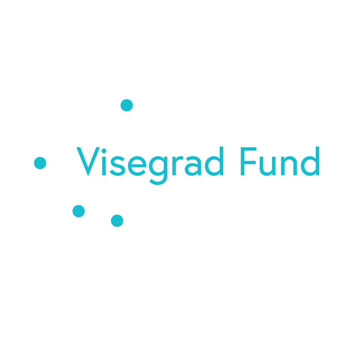 Visegrad fund