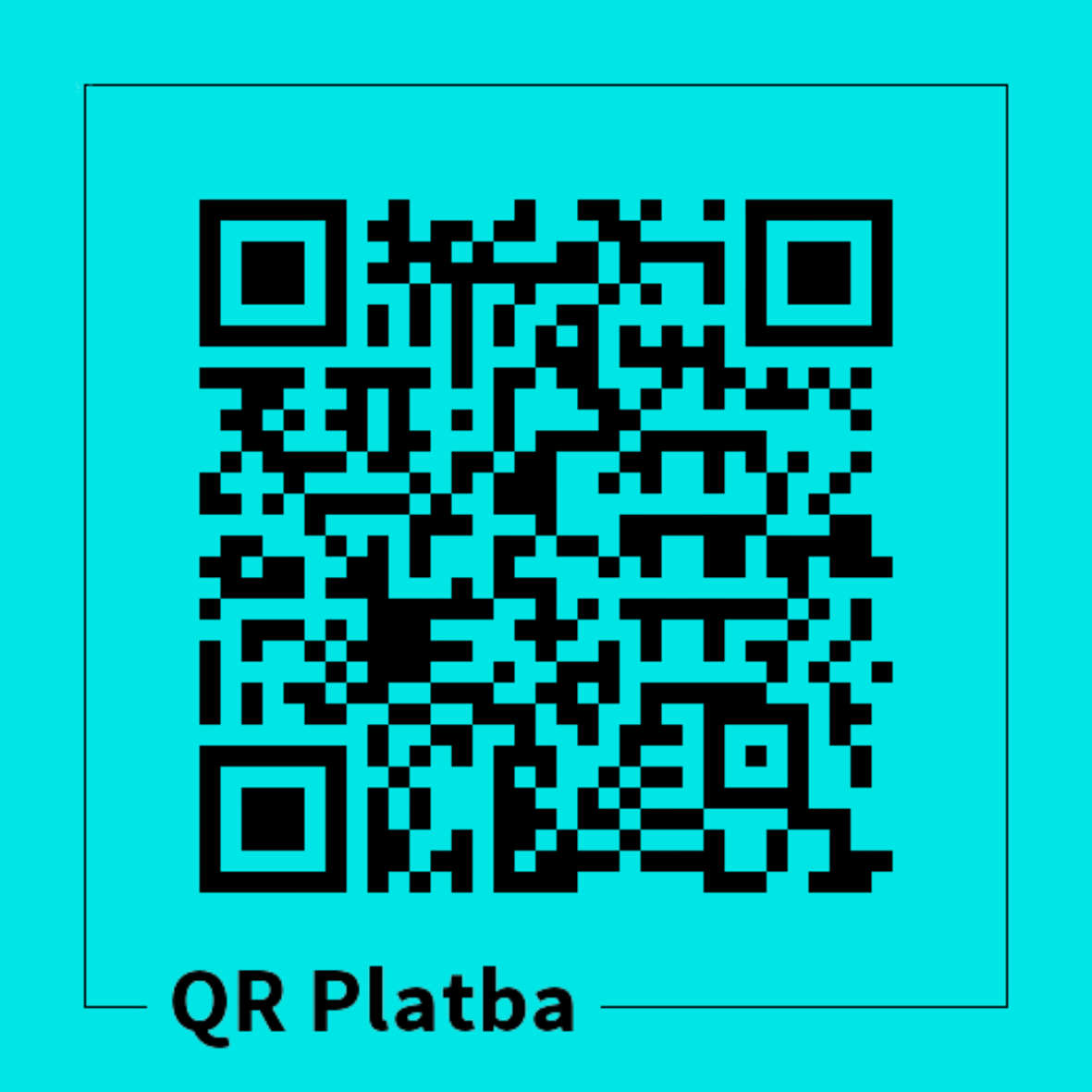 QR platba