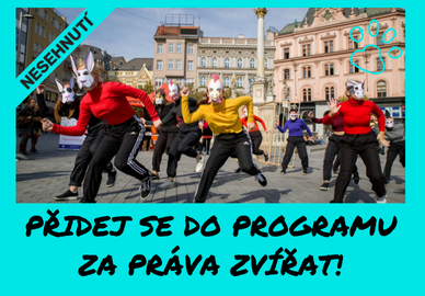 Prac. pozice (388 x 270 px)