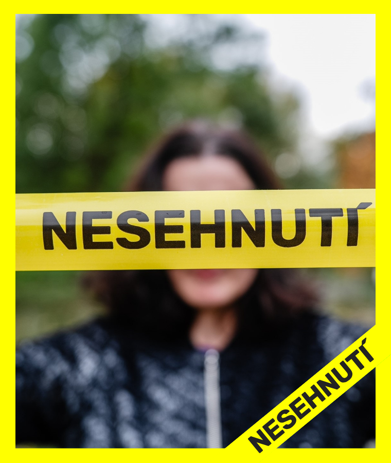 Pro web (760 x 900 px) (6)