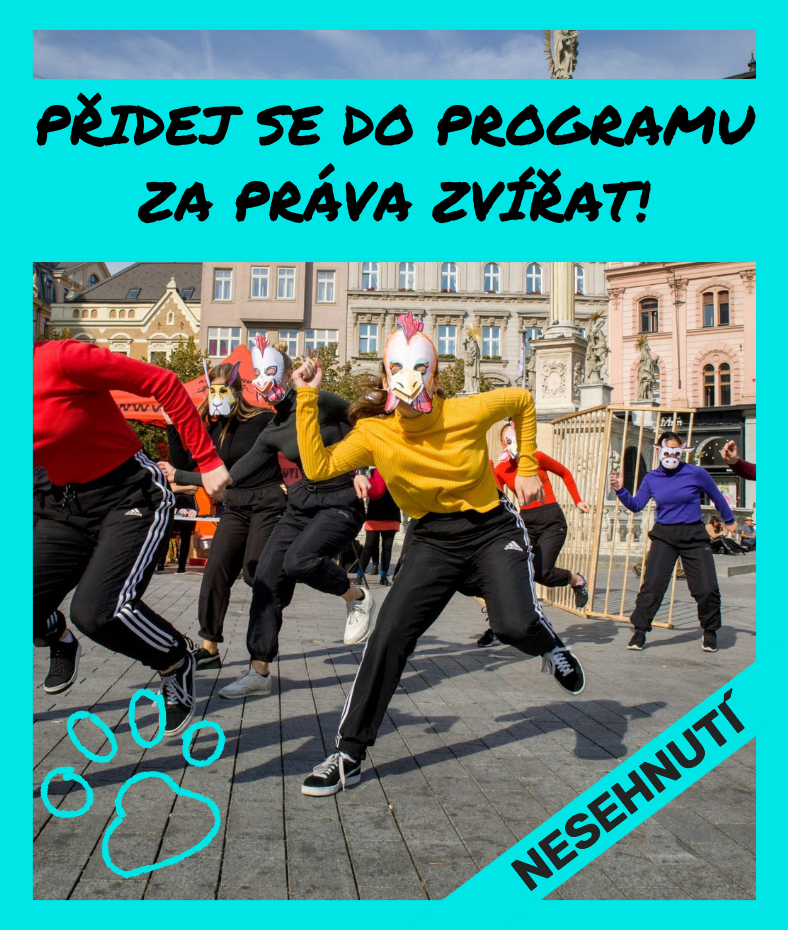 Kreativní duše programu Za práva zvířat