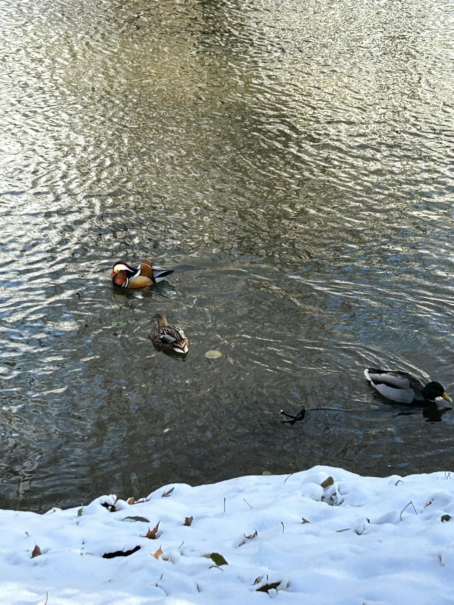 376517990 2586724854834082 5225958225640396417 n