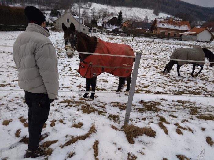 Img 20200206 153525 700x525