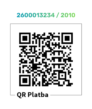 Nese vyjádření (380 x 450 px)