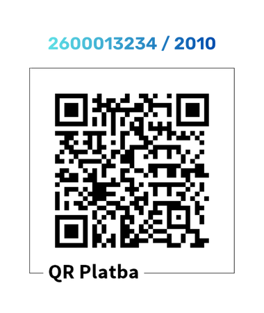 Nese vyjádření (380 x 450 px) (2)