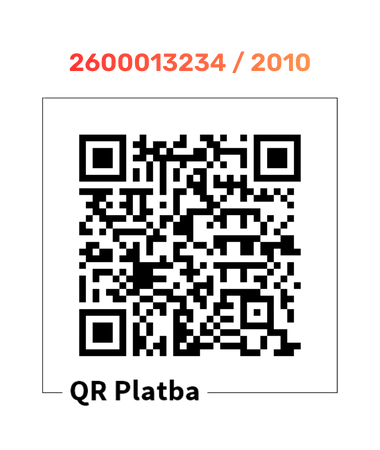 Nese vyjádření (380 x 450 px) (3)