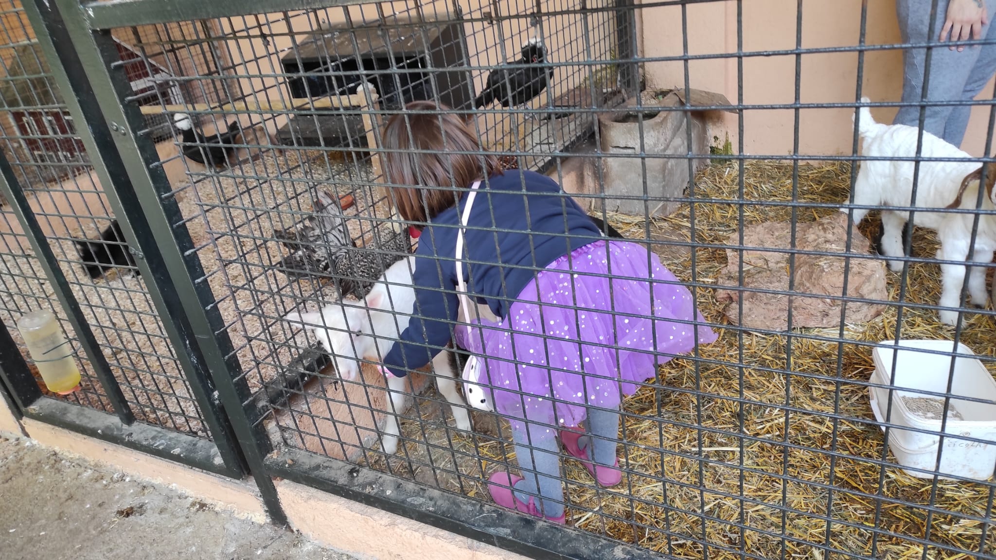 Cd4240d3 9ead 45e0 a004 487e199591a5