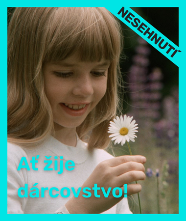 Pro web (380 x 450 px) (1)