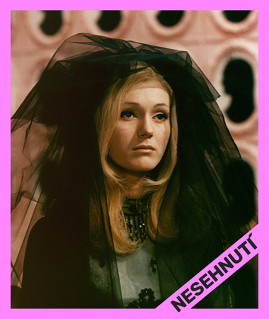 Pro web (380 x 450 px)