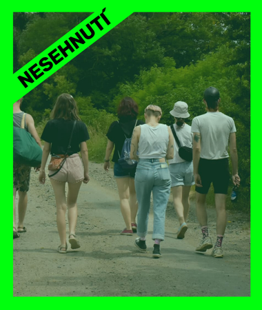 Pro web (380 x 450 px) (9)