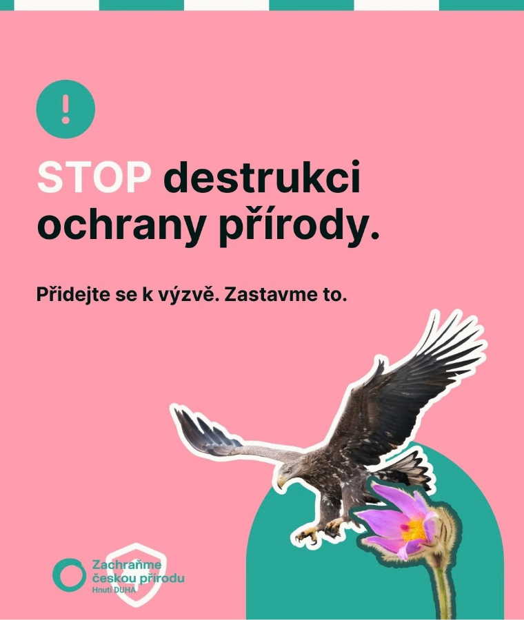Pro web správný (760 x 900 px) (1)