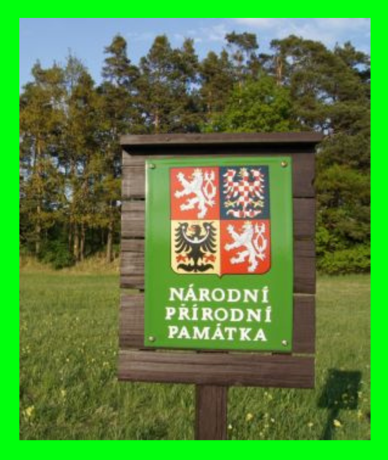 Škrty a čistky Motoristů na MŽP ničí ochranu přírody a prodraží domácnostem energie