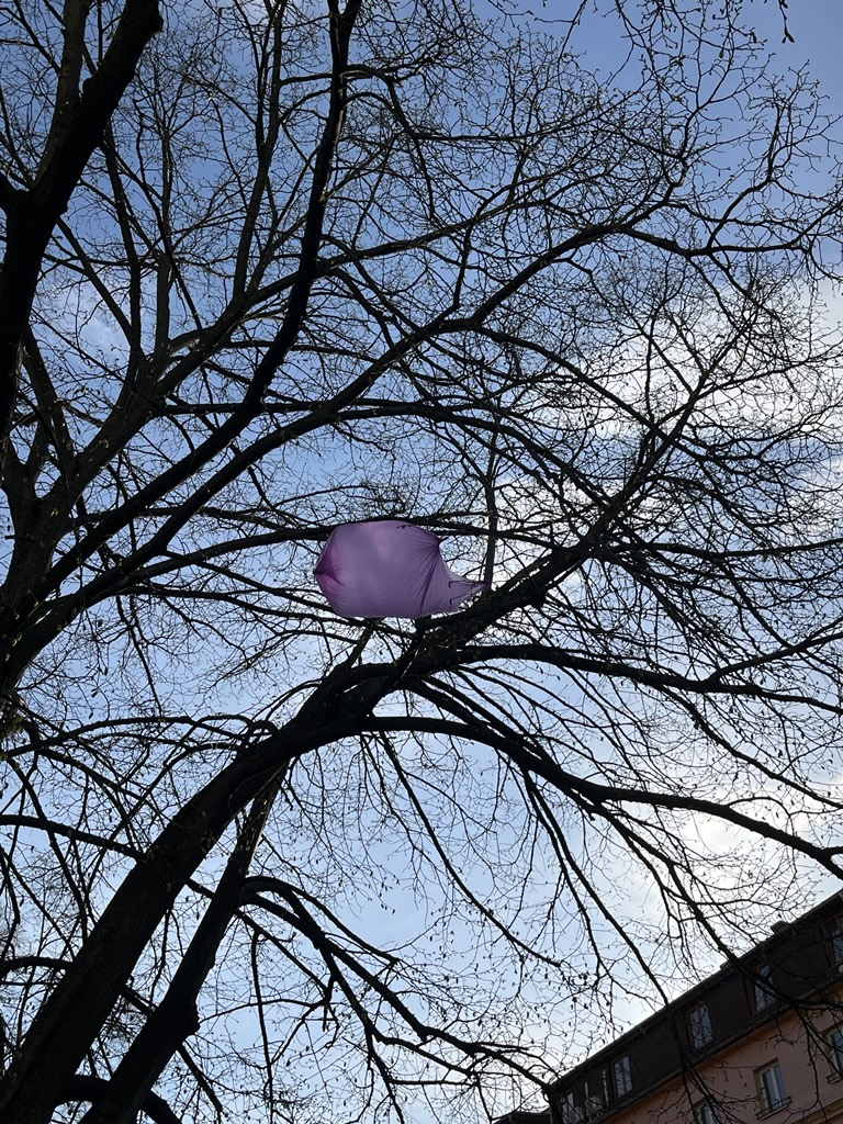 Signal 2026 04 01