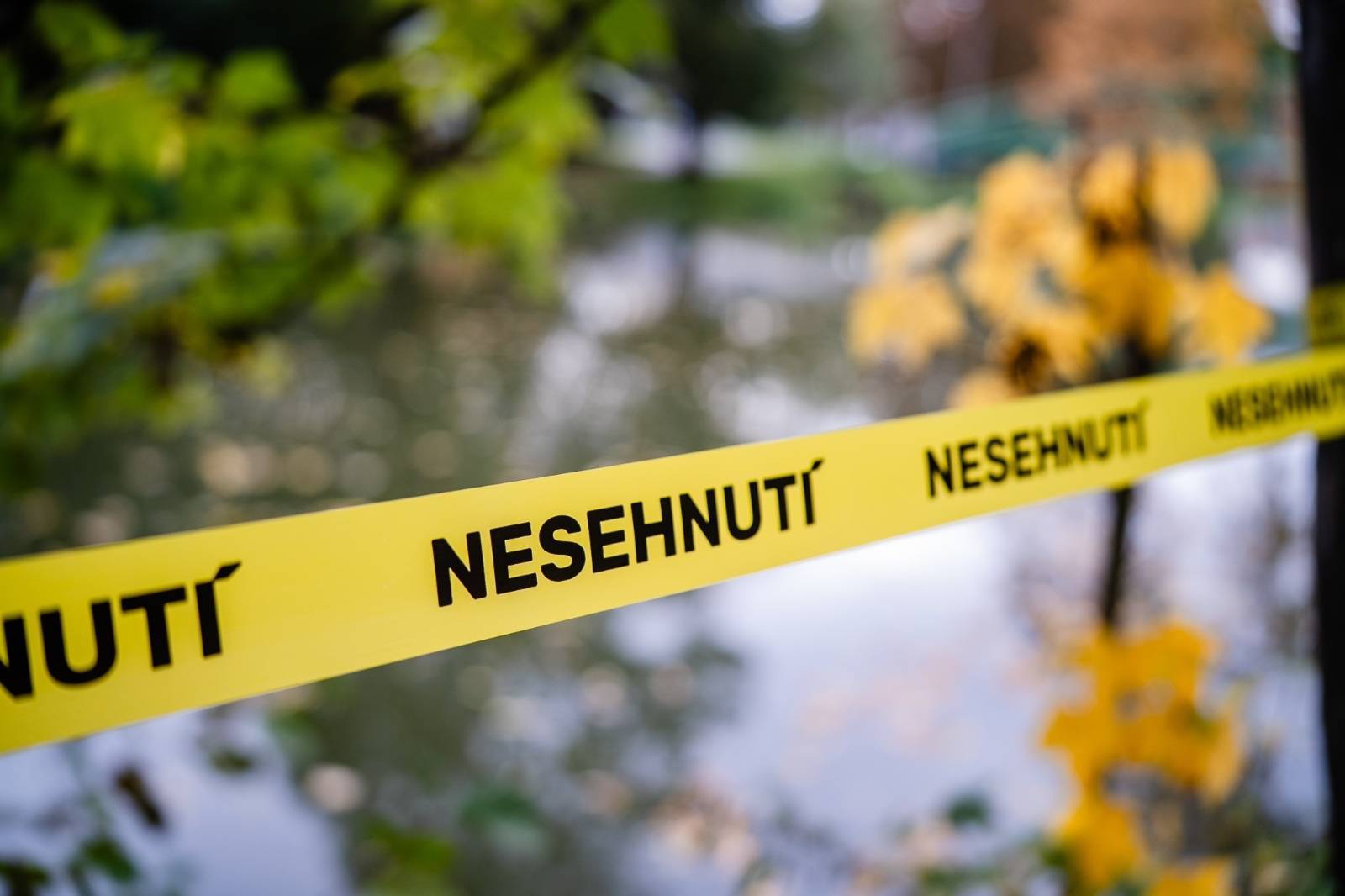 Signal 2025 10 22 130422 003